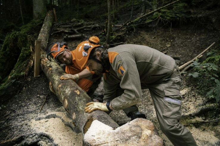 Brückenbau & Naturschutz: Pioniere am Werk